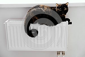 A black cat is lying on the radiator. Heating and cozy house concept