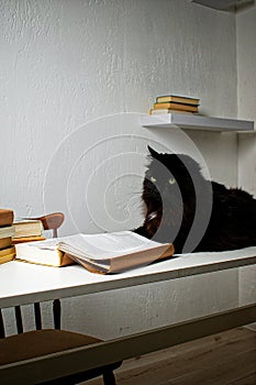 Black cat lying on a white table next to a stack of books. The cat is reading a book