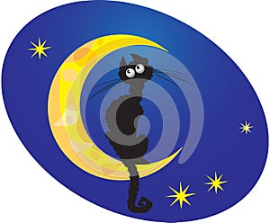 Black cat on moon