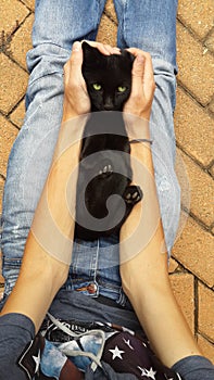 Black cat in my arms photo