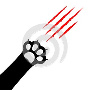 Black cat paw print leg foot. Bloody claws scratching animal red scratch scrape track.