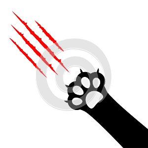 Black cat paw print leg foot. Bloody claws scratching animal red scratch scrape track. Diagonal corner. Cute cartoon character bod photo