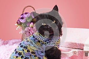 black cat on a pink background with flowers and a suitcase