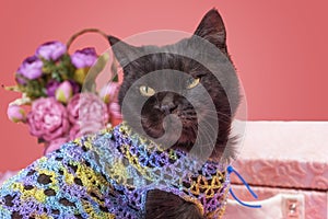 black cat on a pink background with flowers and a suitcase
