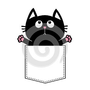 Black cat in the pocket ready for a hugging. T-shirt design. Open hand paw print. Kitty reaching for a hug. Funny Baby card. Cute