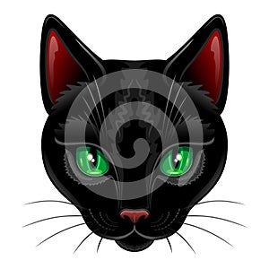 Black Cat Portrait with Green Eyes isolated on White Vector Illustration