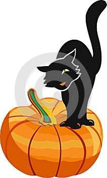 Black cat on pumking