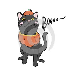 Black cat in pumpkin Halloween costume cartoon illustration