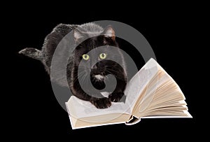 Black cat reading book on black background