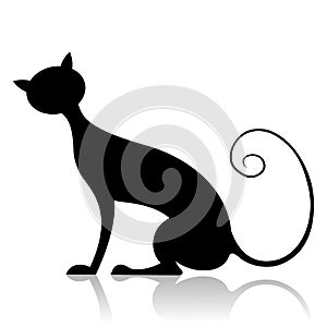 Black cat silhouette