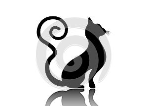 Black cat silhouette with curly tail, feline animal logo template, vector illustration isolated on a white background