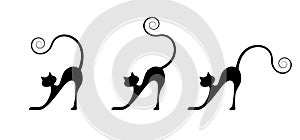 Black cat silhouette for your design