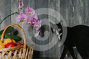 a black cat sits next to flowers and a fruit basket