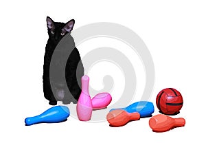 A black cat sits among the pins for bowling in the tension and stress. Illustration on white background.