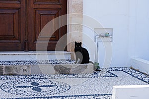 A black cat sits on the porch of a house decorated with stone murals in the old town of Lindos. Rhodes, Greece