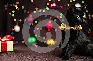 A black cat sits in a yellow bow tie near Christmas decorations, new year present and luminous garlands.