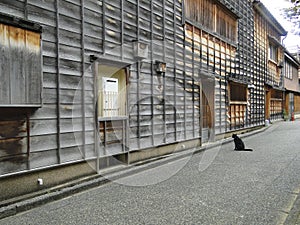 Black cat sitting at the door of a traditional Japanese house. Empty street in the historic old district,Kyoto.