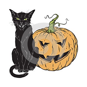 Black cat sitting with halloween pumpkin isolated over white background vector illustration. Witches familiar spirit animal, gothi