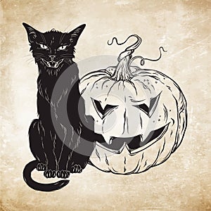 Black cat sitting with halloween pumpkin over old grunge paper background vector illustration. Witches familiar spirit animal.