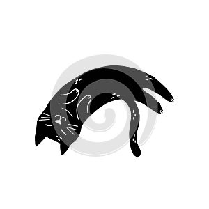 Black cat sleeping isolated element. Cute feline character in cartoon style