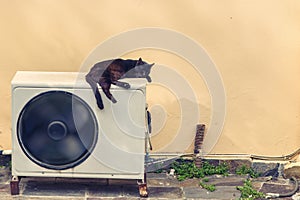 Black cat sleeps on a white air conditioner in the heat in the street of Greece.