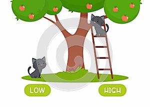 Black cat standing on ladder, cat standing near apple tree illustration with typography. photo