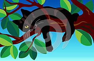 Black cat on a tree.