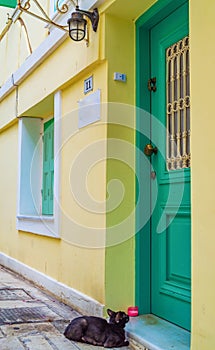 Black cat waiting in front of green house door Lefkada Greece