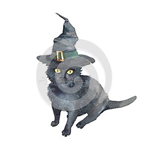 Black cat with witch hat