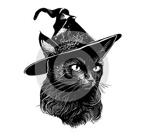 Black cat in a witch hat portrait sketch hand drawn Halloween vector illustration