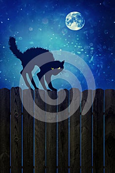 Black cat on wood fence at night