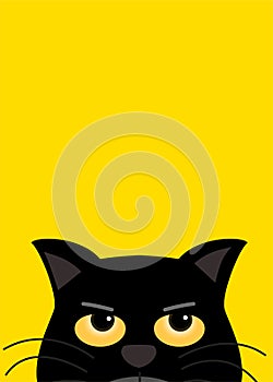 Black cat with yellow eye look up