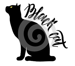 Black cat with yellow eyes, isolated on white, vector illustration