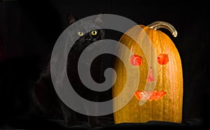 Black cat with yellow eyes sits next to Halloween pumpkin on a black