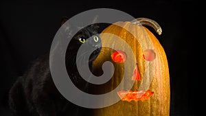 Black cat with yellow eyes sits next to Jack-o`-lantern