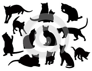 Black cats