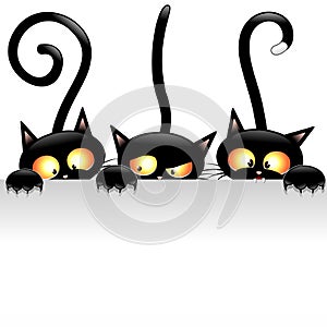 Black Cats Cartoon Naughty and Playful