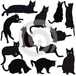 Black cats silhouettes