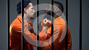 Black and caucasian prisoners having fight in cell, jail overcrowding, conflict