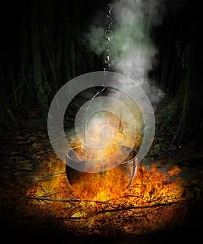 Black cauldron in fire photo