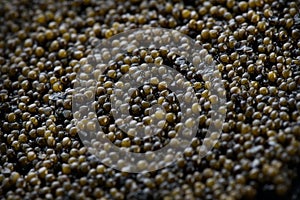 Black Caviar background. High quality real natural sturgeon black caviar close-up. Delicatessen. Texture of expensive luxury cavia