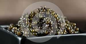 Black Caviar in a bowl. High quality real natural sturgeon black caviar close-up. Delicatessen