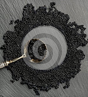 Black Caviar frame on slate stone background with spoon. High quality sturgeon black caviar close-up texture