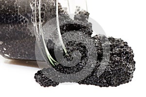 Black caviar in a glass jar