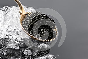 Black Caviar in golden spoon on ice. High quality natural sturgeon black caviar close-up. Delicatessen