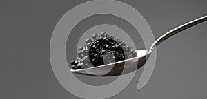 Black Caviar in a silver spoon over gray background. High quality natural sturgeon black caviar close-up