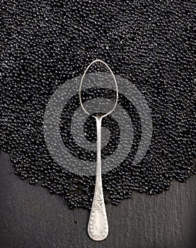Black Caviar in silver spoon, top view of sturgeon black caviar close-up. Delicatessen backdrop