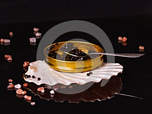 Black caviar in a small pot, decorated with shell and sea salt