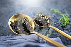 Black Caviar in a spoon on dark background. High quality real natural sturgeon black caviar close-up. Delicatessen