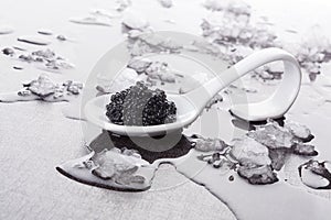 Black caviar on spoon. photo